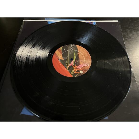 BØRNS – Blue Madonna (2018) – Vinyl LP – Interscope Records – B0027606-01 - Picture 9 of 10